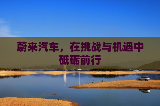 蔚来汽车，在挑战与机遇中砥砺前行