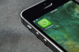 网易汽车大全app，一站式汽车信息平台的深度评测